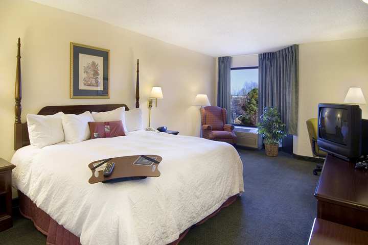 Hampton Inn & Suites Atlanta/Duluth/Gwinnett Rom bilde